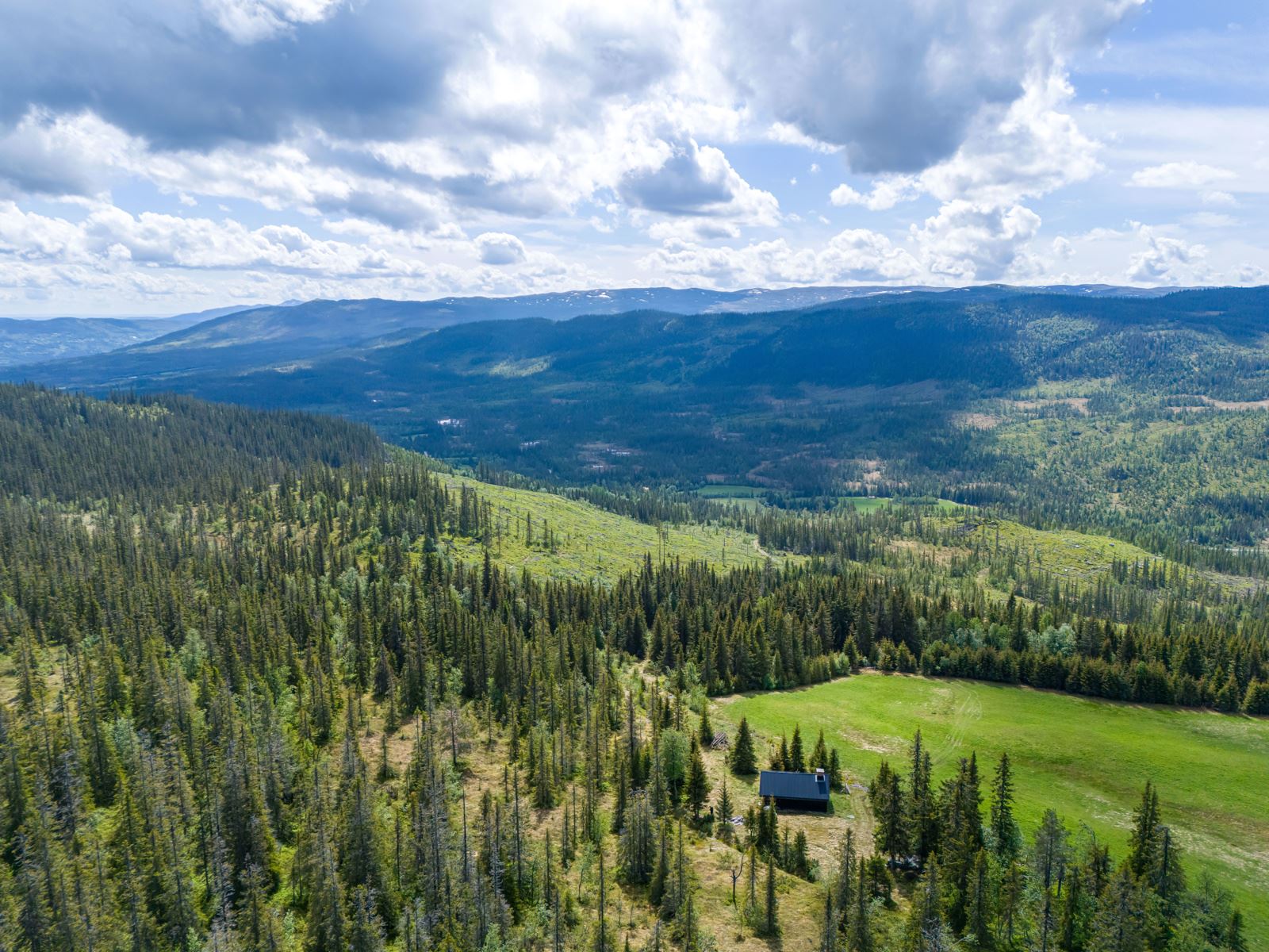 271884_DJI_20240528120141_0348_D