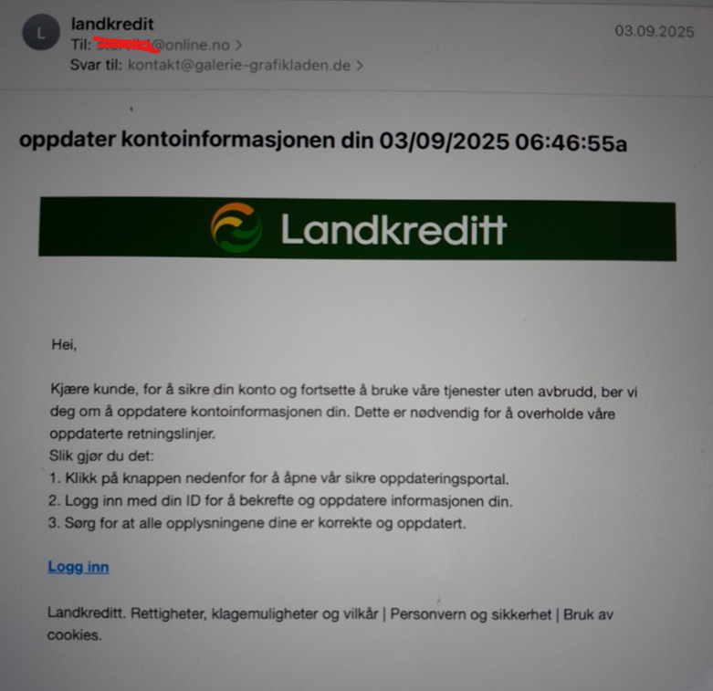 Skjermbilde: svindel