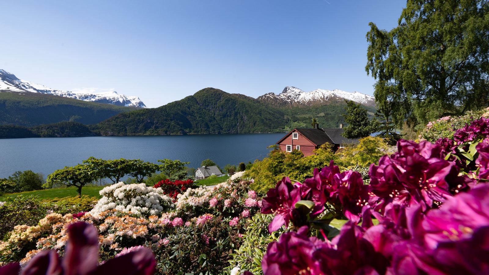 Velkommen til fantastiske Torheim- en sjelden perle like utenfor Nordfjordeid