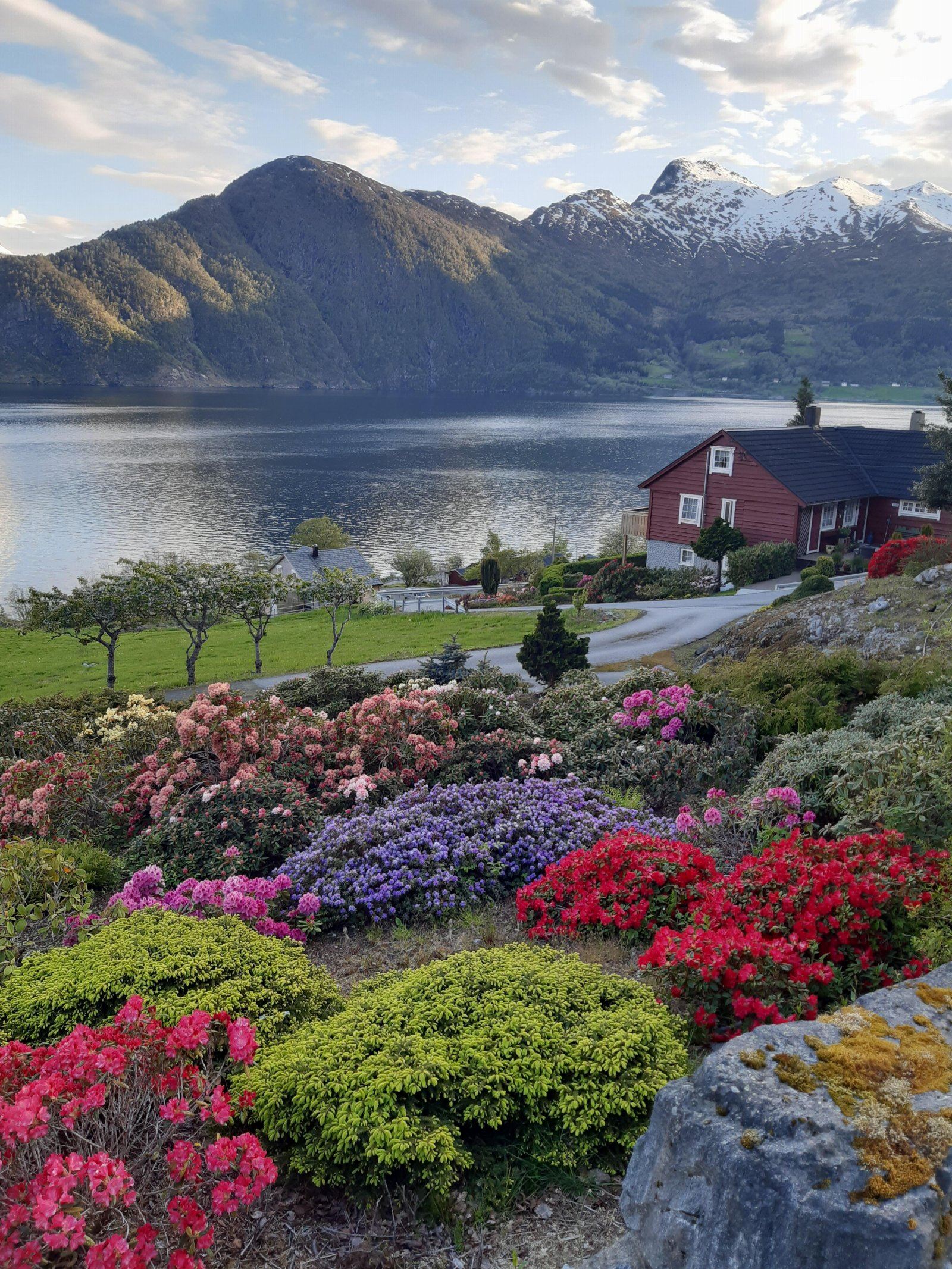 Den idylliske naturen med sjø, planter og snødekte fjell får du rett utenfor kjøkkenvinduet