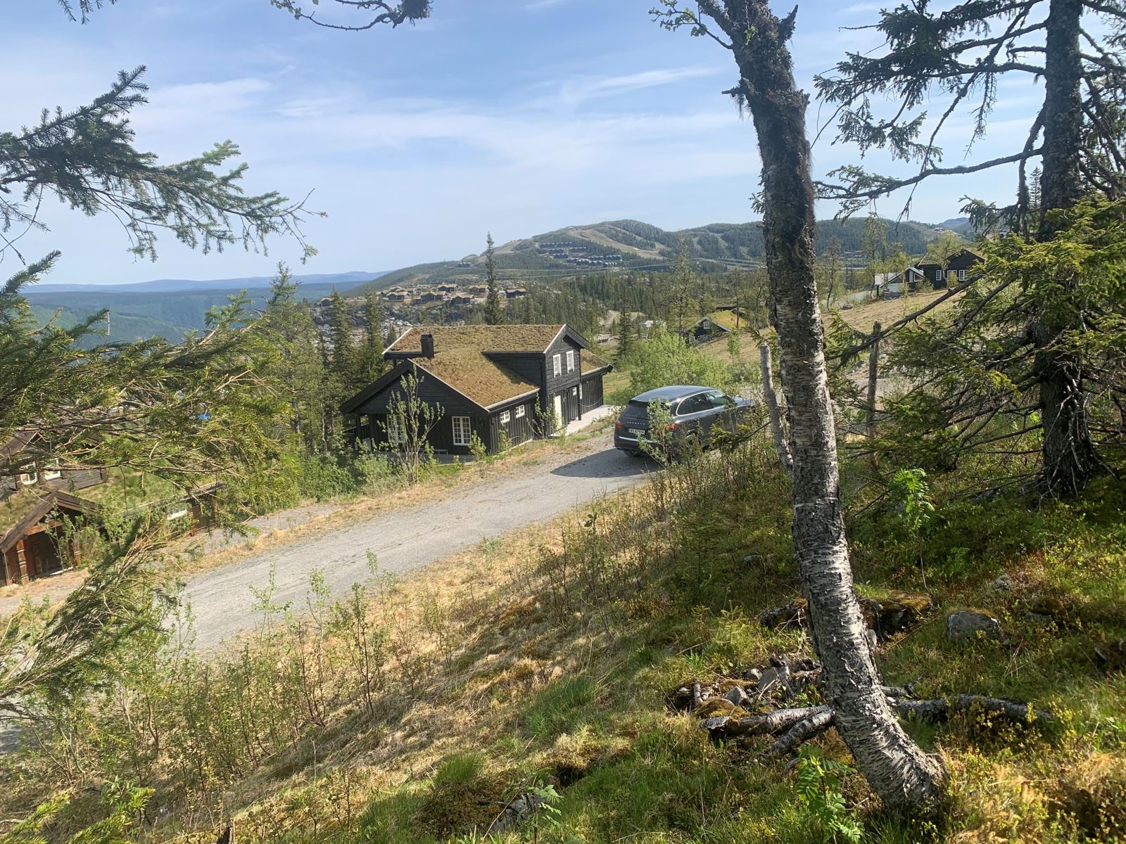 Foto fra tomten juni 2025. Utsikt til Gaustablikk
