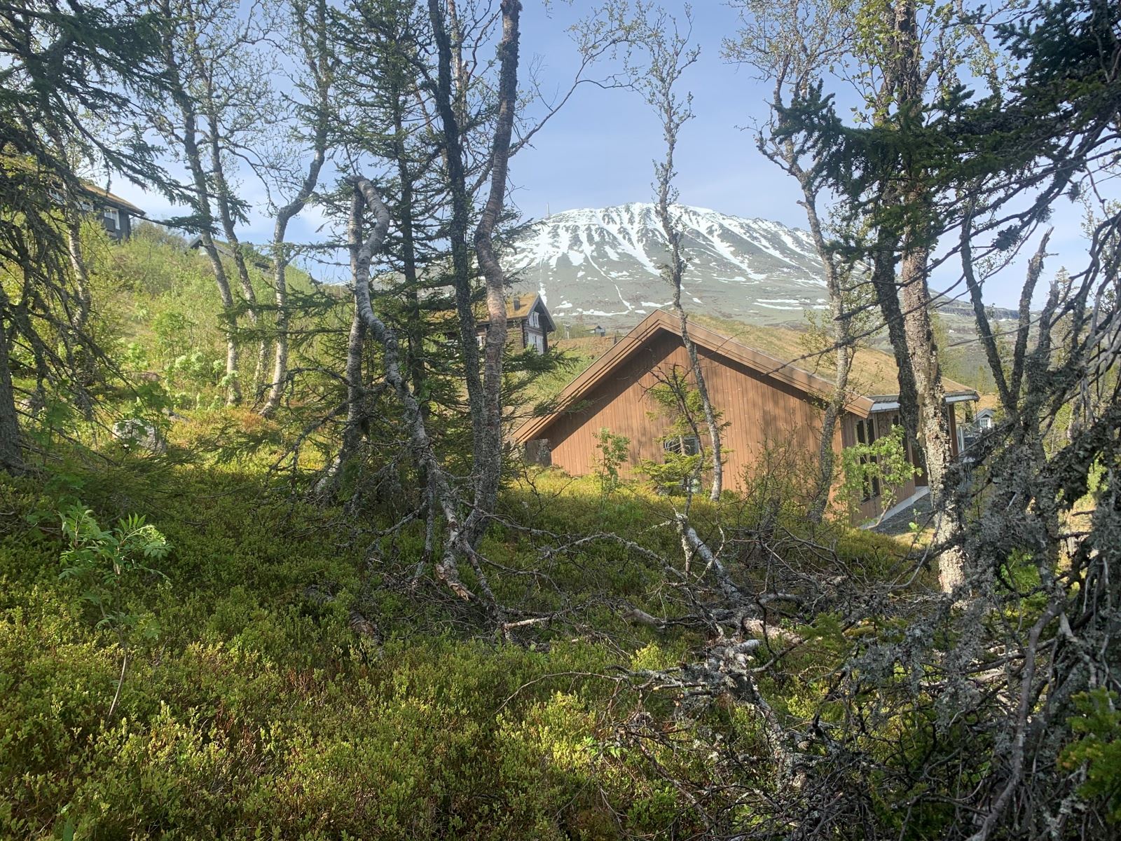 Ubebygd tomt mellom skibakkene i Gaustatoppen Naturpark
