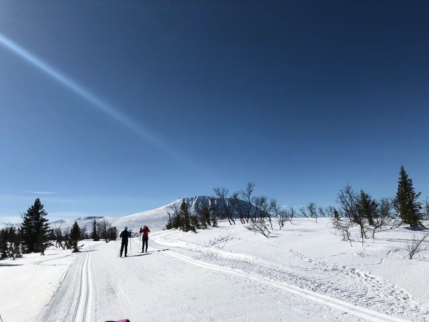 Langrenn og tur - fine langrennsløyper rundt Kvitåvatn og videre mot Gaustatoppen