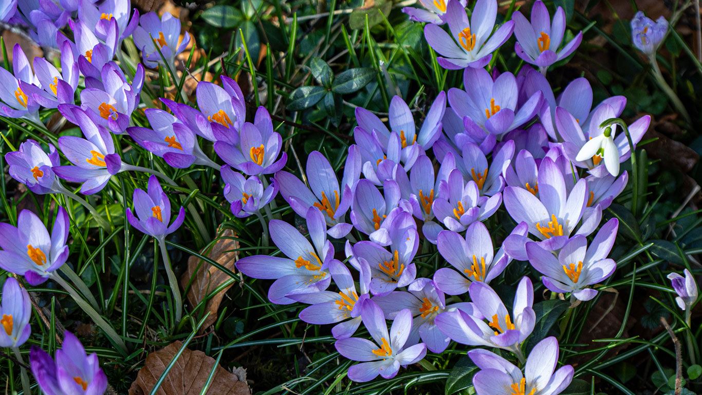 Illustrasjonsfoto: Istock / ph2212