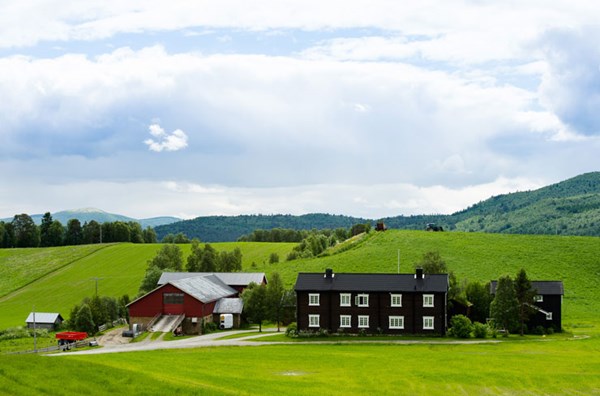 Foto: Gård
