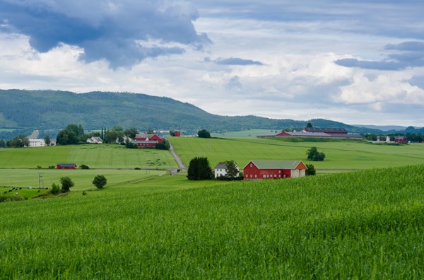 Foto: Landbrukslandskap