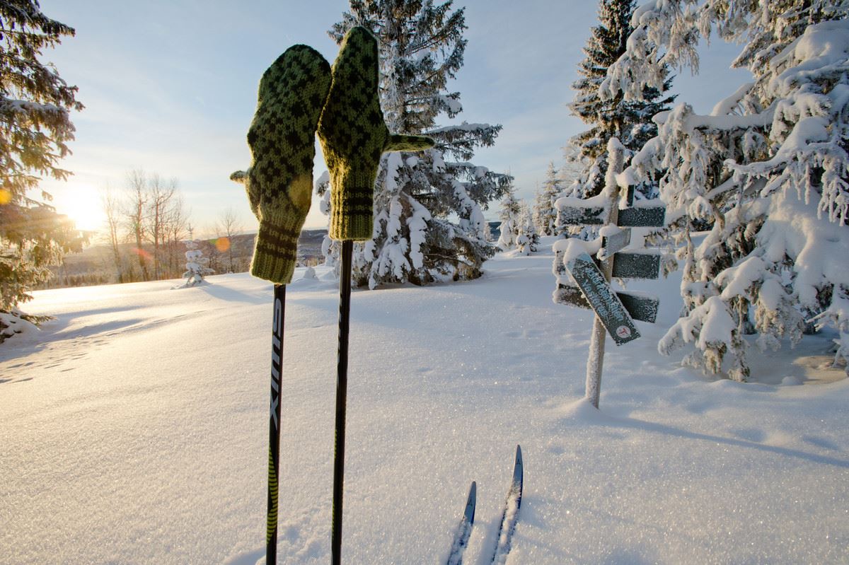 Bilde: Vinterlandskap