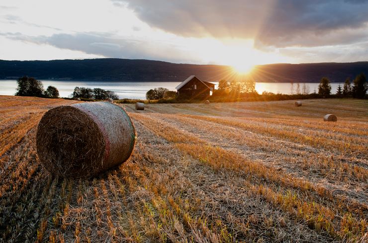 Halmball på åker i solnedgang